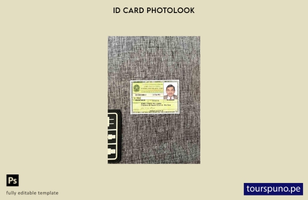 listo para imprimir plantilla FRONTAL de fotolook de tarjeta de identidad de Bra